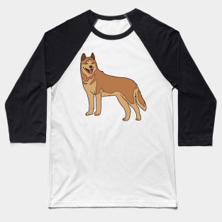 Cute Brown Dog Baseball T-Shirt